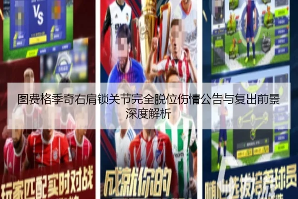 图费格季奇右肩锁关节完全脱位伤情公告与复出前景深度解析